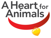 A Heart for Animals